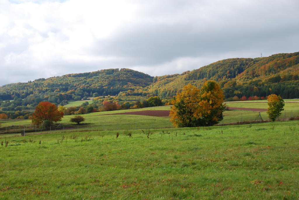 Hotel Rhön Waldcafé St. Georg Staatsbad Brückenau