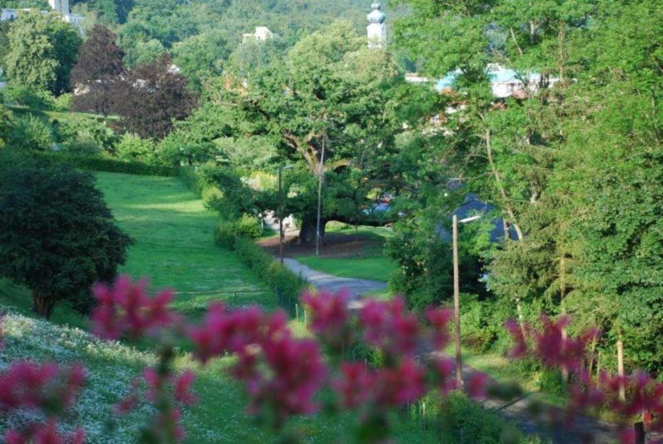 Hotel Rhon Waldcafe St. Georg Staatsbad Bruckenau