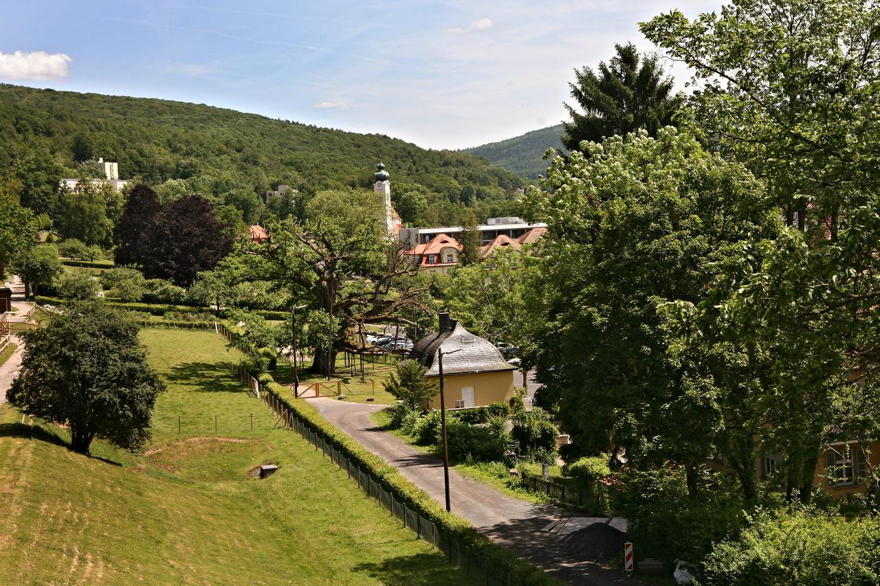 Rhon Waldcafe St. Georg Hotel Staatsbad Bruckenau