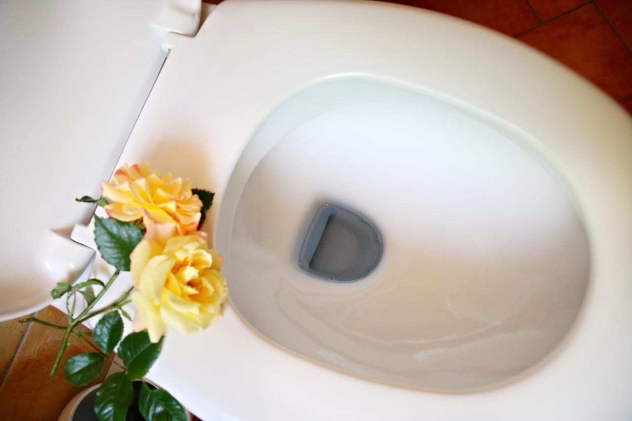 Hotel Rhon Waldcafe St. Georg Staatsbad Bruckenau