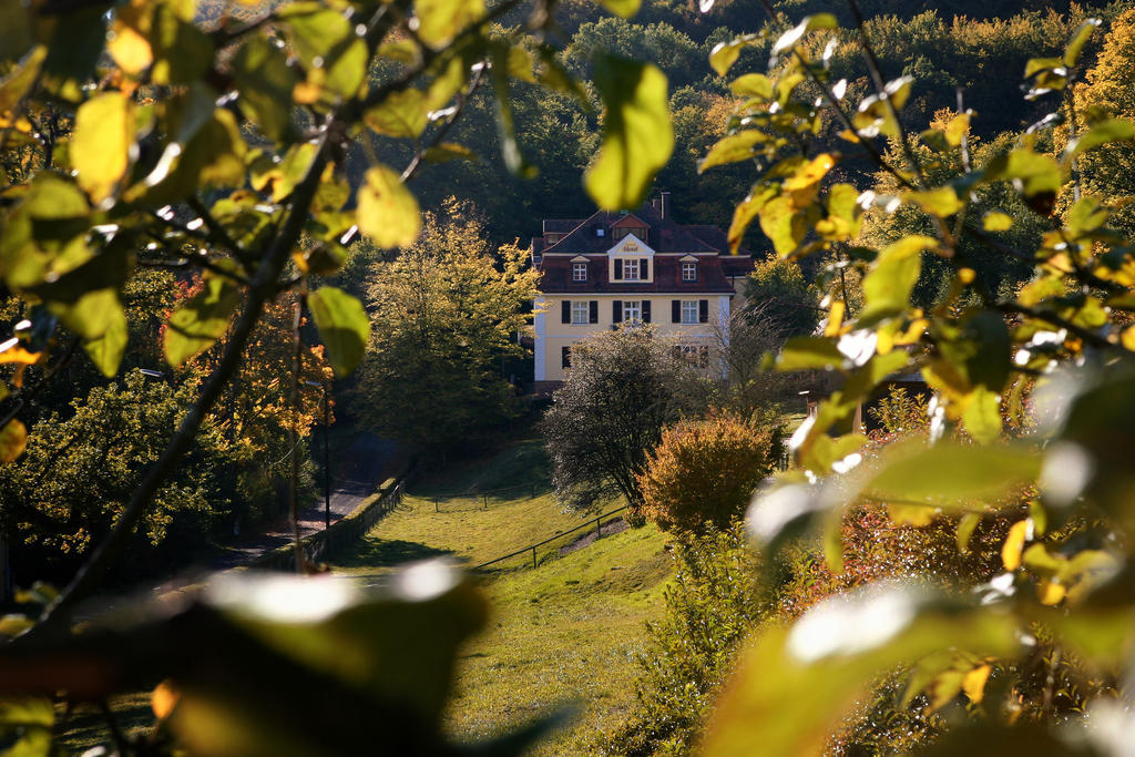 Rhon Waldcafe St. Georg 3*